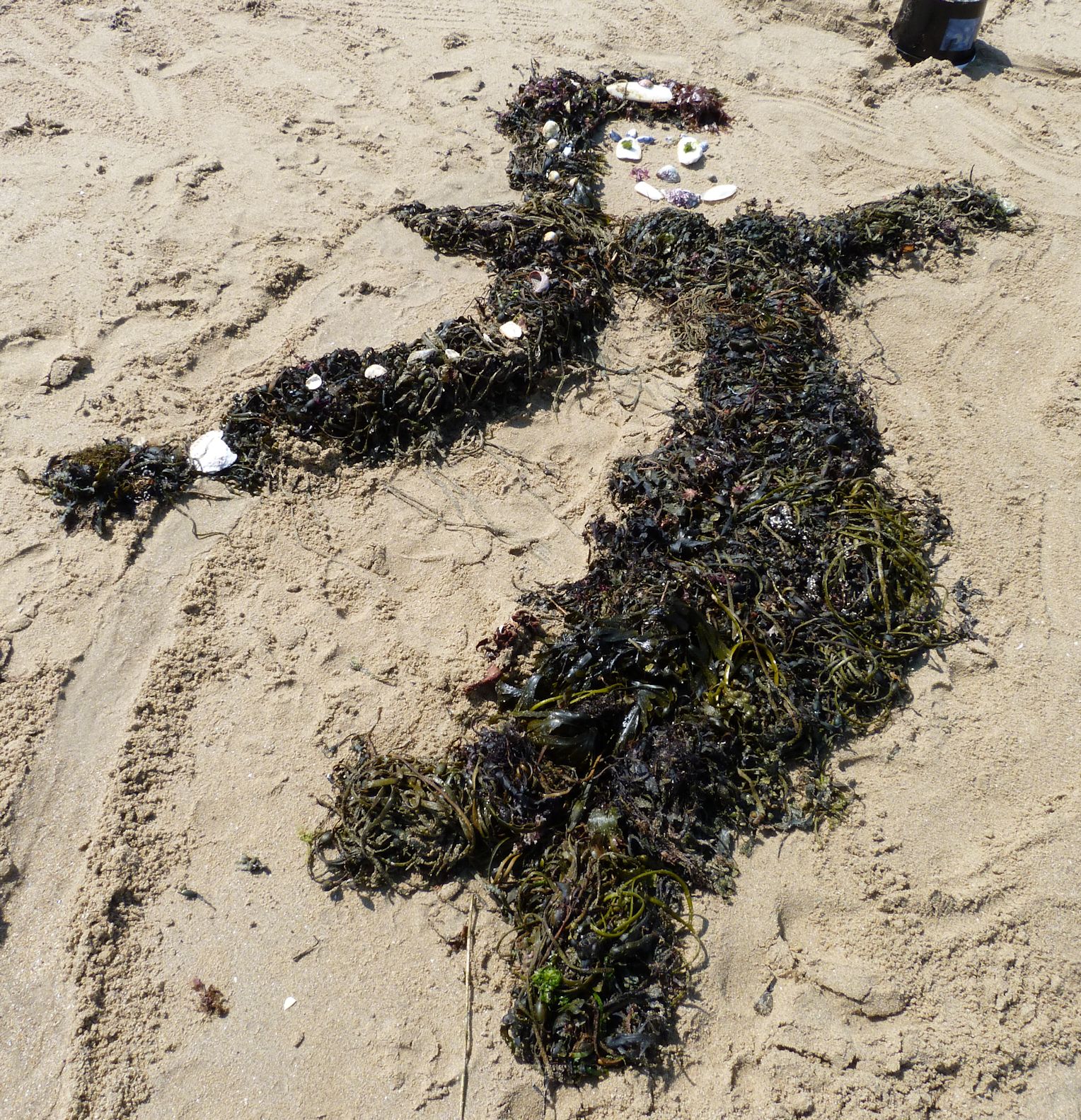 sirene