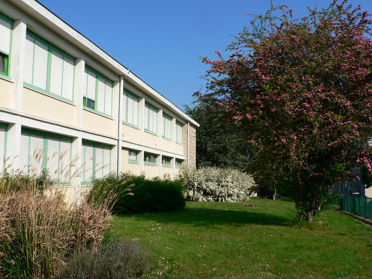 collège2